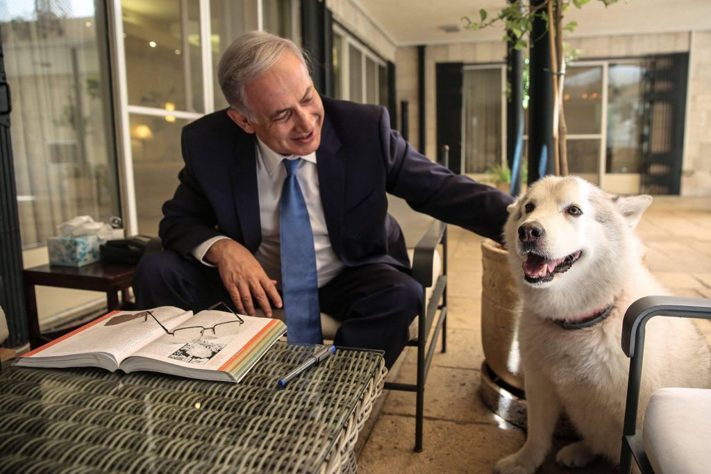 Bibi and his Dog